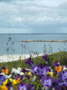 Flowers and beach