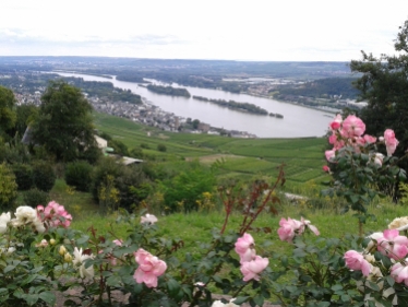 The romantic Rhine Valley!