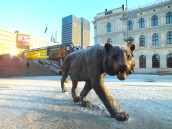 The symbol of Oslo - the tiger. The city is called "The Tiger City"!